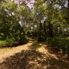 Jelks Preserve, Venice FL